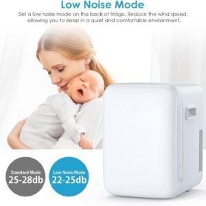 10L Portable Mini Fridge AC/DC – Compact Cooler for Home and Car Use