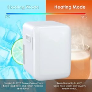10L Portable Mini Fridge AC/DC – Compact Cooler for Home and Car Use